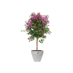 vibia campana round 35cm living concrete